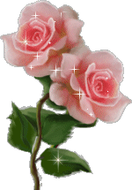 warda