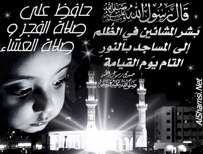 hafido